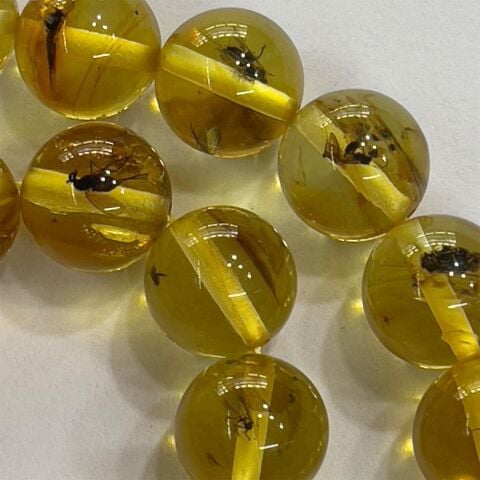 Haşere Fosilli Kaliningrad Damla Kehribar 8 (mm)