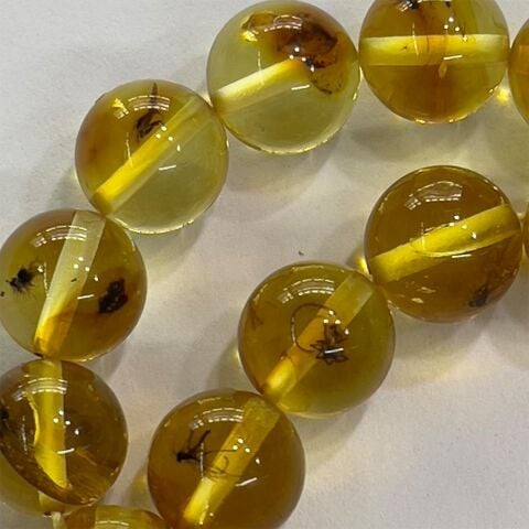 Haşere Fosilli Kaliningrad Damla Kehribar 8 (mm)