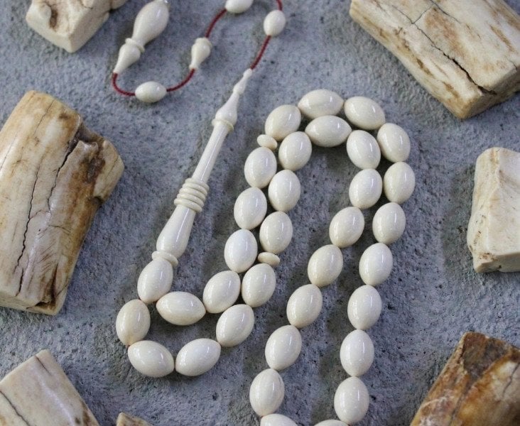 MAMUT DİŞİNİN USTALIKLA BULUŞMASI